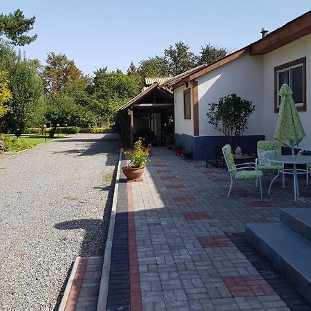 Lodge Mirador Chillán Eksteriør bilde
