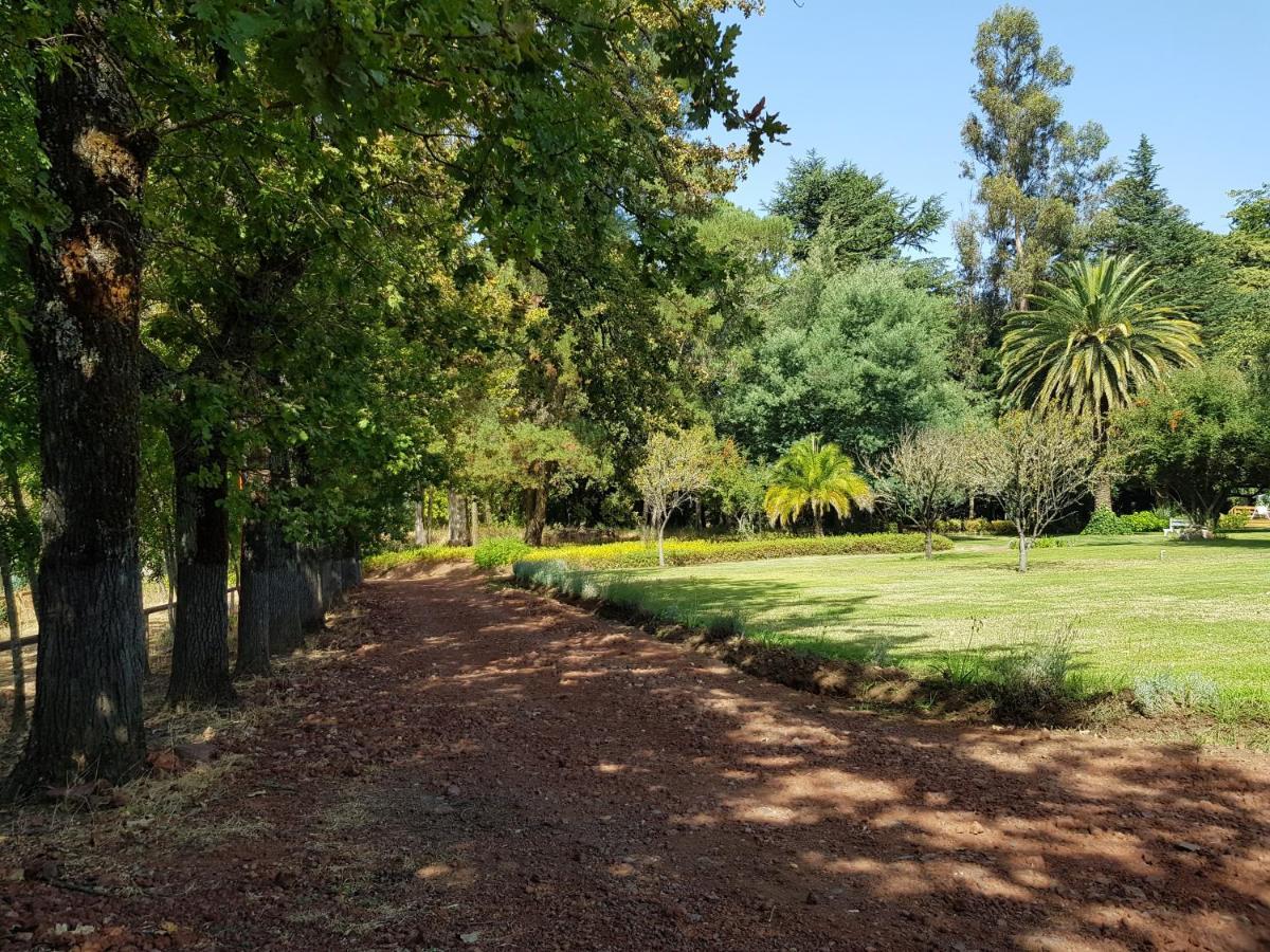 Lodge Mirador Chillán Eksteriør bilde