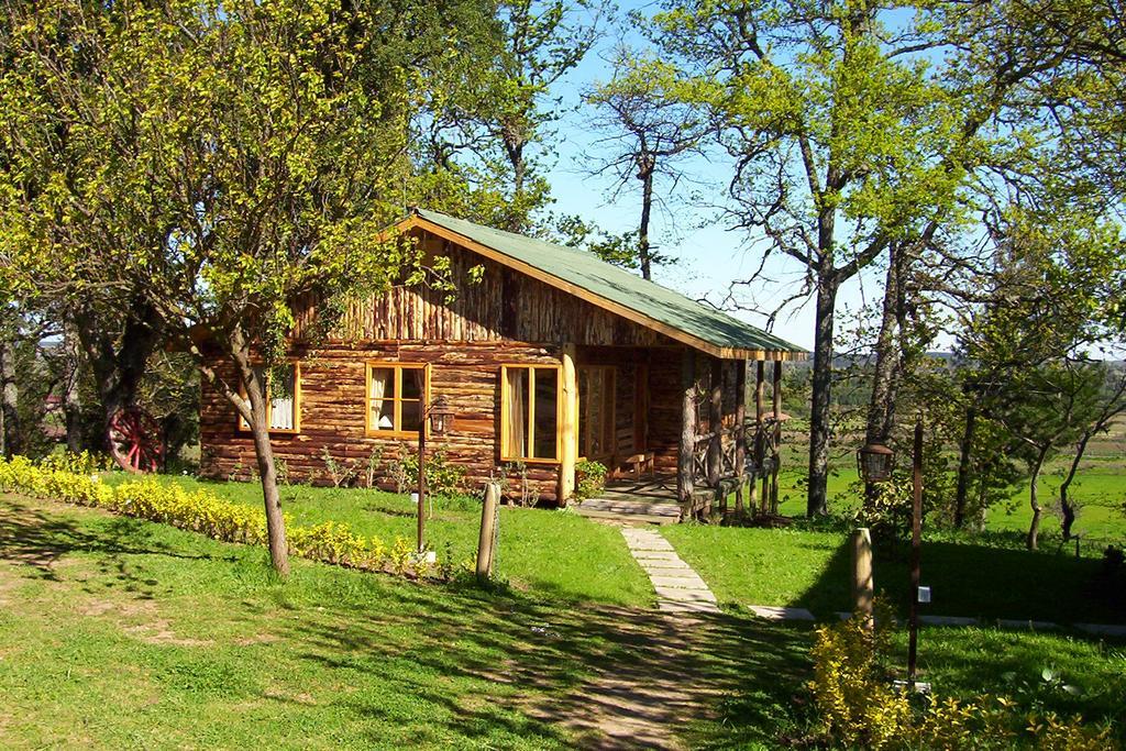 Lodge Mirador Chillán Eksteriør bilde