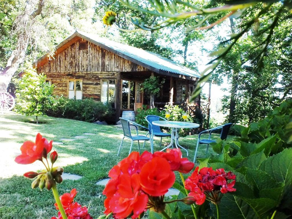 Lodge Mirador Chillán Eksteriør bilde